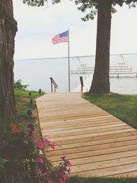 People on pier amidst trees against sky