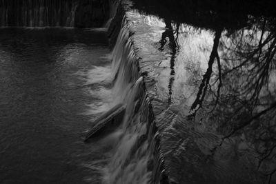 Blurred motion of trees at water