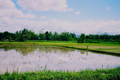 Scenic view of field against sky