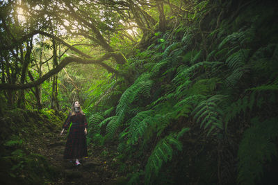 Rear view of woman standing in forest