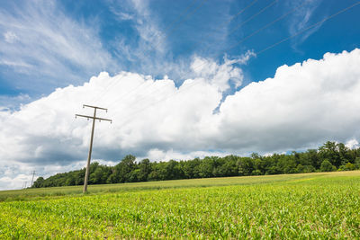 Idyllic shot green landscape against sky