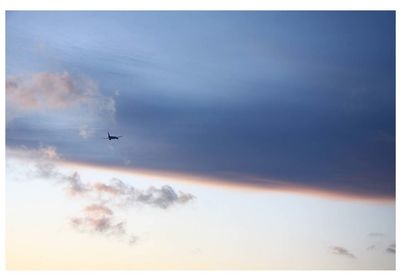 Airplane flying in sky