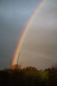 rainbow