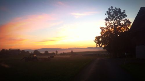 Silhouette of trees on landscape at sunset