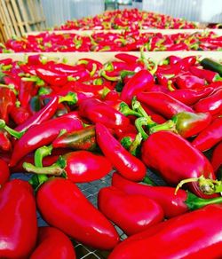 Close-up of red chili peppers for sale in market