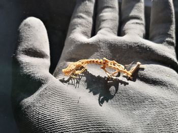 Close-up of human hand