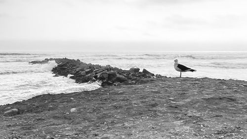sea