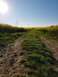 Dirt road amidst field against sky