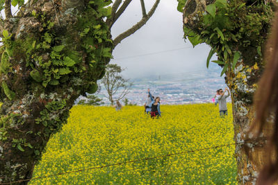 People on field by trees