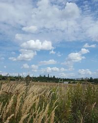 Scenic view of field against cloudy sky