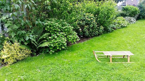 Chair on grass