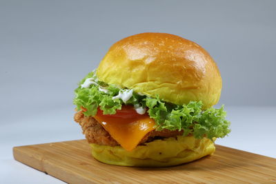 Close-up of burger against white background