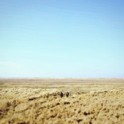 View of landscape against clear sky