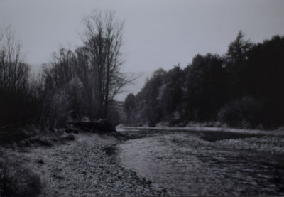 Bare trees on landscape