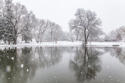 Bare trees by lake against sky during winter