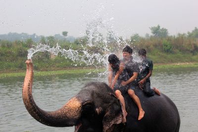 Full length of people sitting on elephant in river