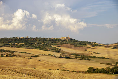 Scenic view of agricultural field against sky