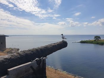 View of seagull by sea against sky