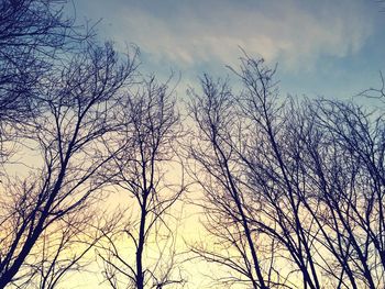 Low angle view of bare trees against cloudy sky