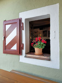 Potted plant on window of house