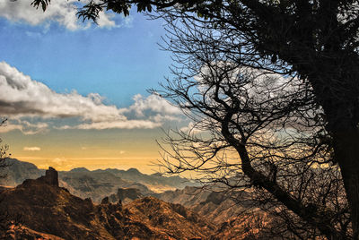 Silhouette bare tree against sky during sunset