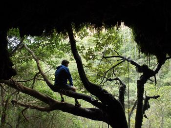 Low angle view of hiker sitting on tree at blyde river canyon national park