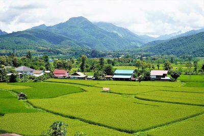 Scenic view of agricultural field against sky