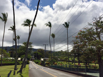 Road by trees against sky