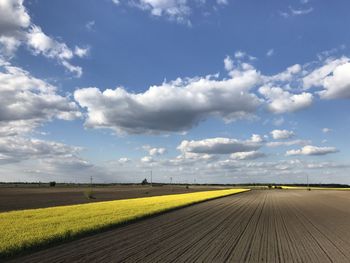 Scenic view of agricultural field against sky