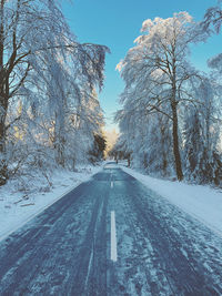 Road amidst trees against sky during winter