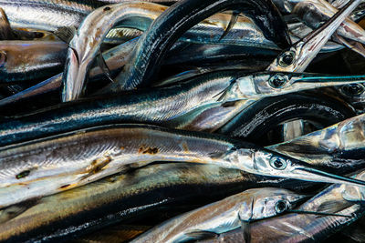 Close-up of fish for sale in market