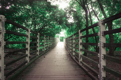 Footbridge amidst trees in forest