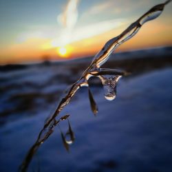 Close-up of frozen water against sky during sunset