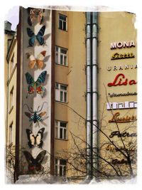 Graffiti on building wall