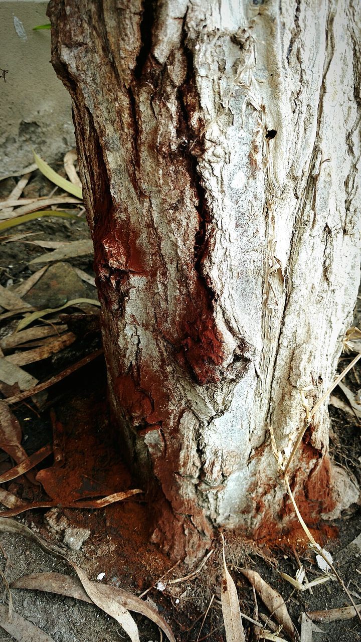 CLOSE-UP VIEW OF WATER