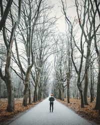 Rear view of man walking on road amidst bare trees during winter
