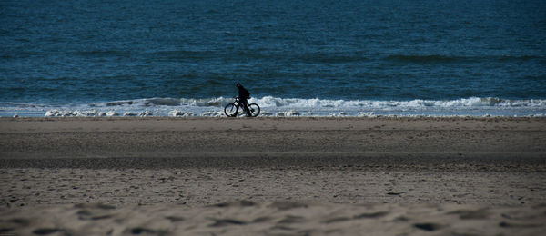 Man riding bicycle at sea shore