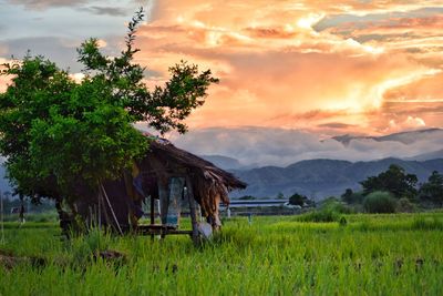 Scenic view of field against sky during sunset