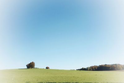 Scenic view of field against clear blue sky