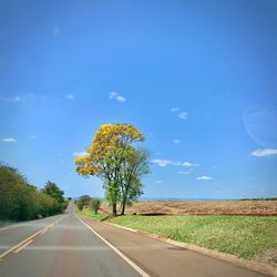 Road by trees on field against sky