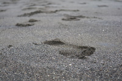 High angle view of footprints on sand