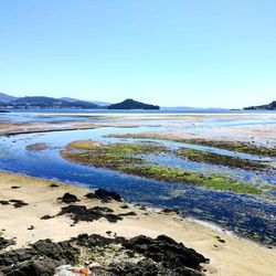 Scenic view of beach against clear blue sky