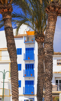 Low angle view of palm tree by building