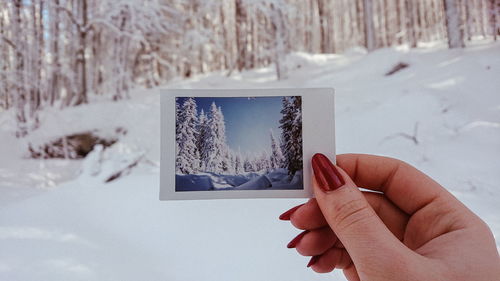 Person photographing in snow