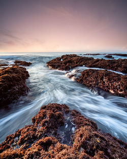 Scenic view of sea against sky during sunset