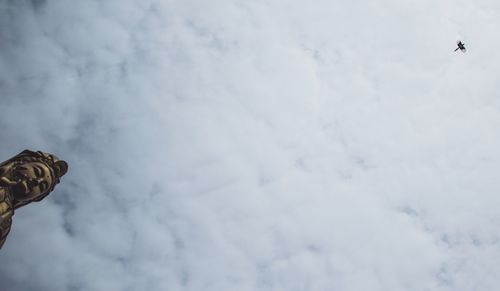 Low angle view of eagle flying against sky