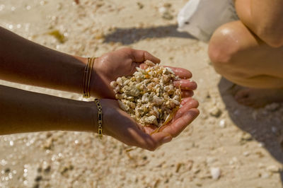 Close-up of person preparing food