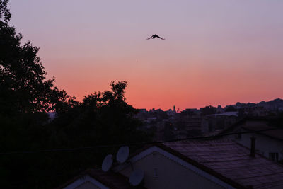 Silhouette of bird flying against sky during sunset