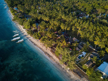 High angle view of trees by sea