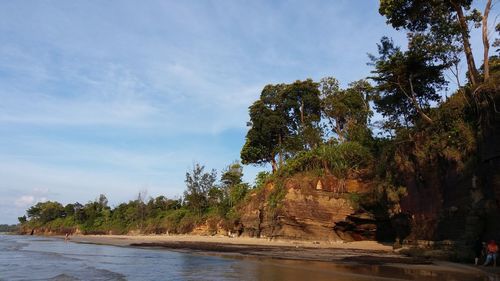 Trees at beach against sky